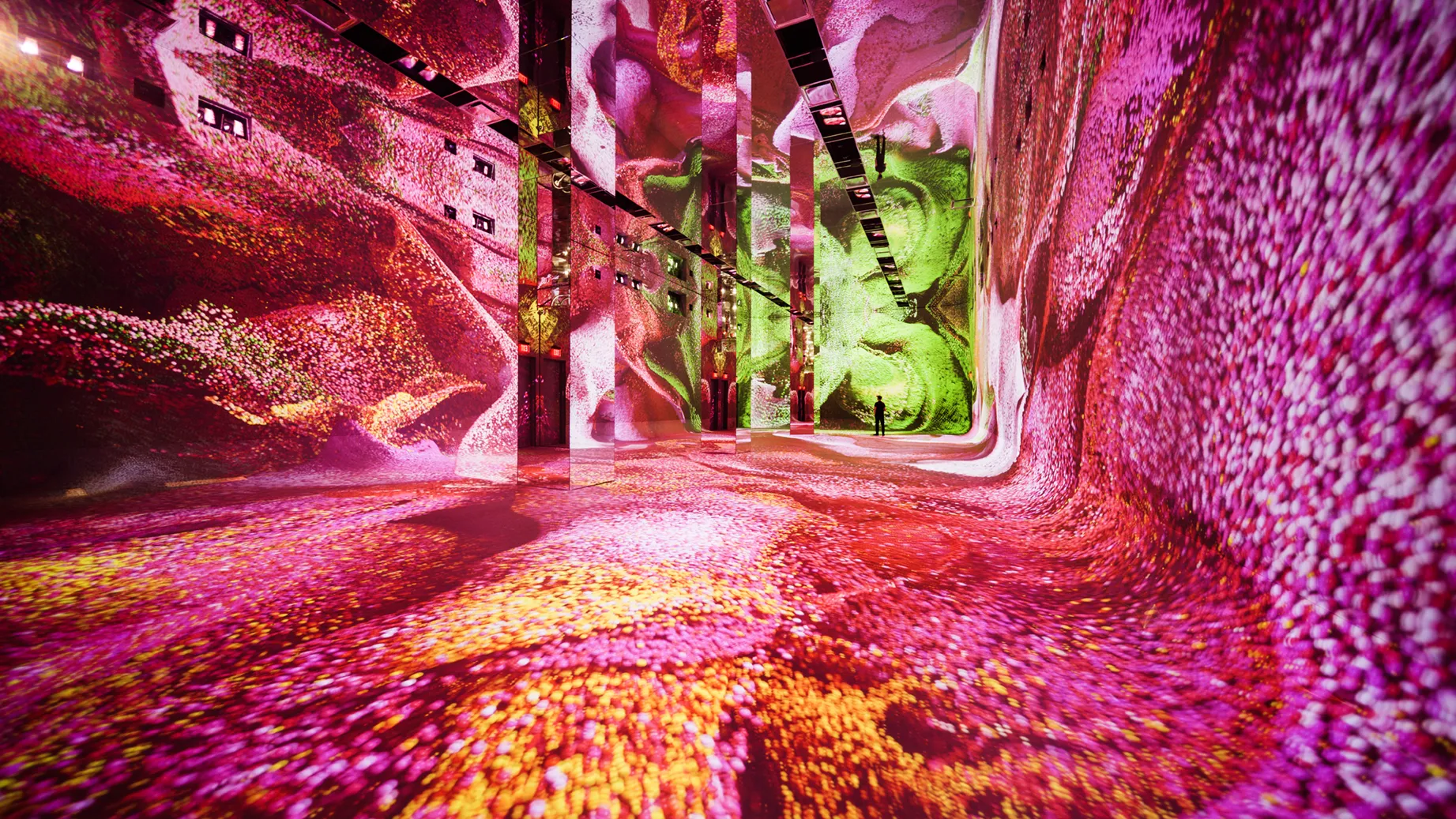 Machine Dreams: Rainforest installation view, DATALAND, Los Angeles